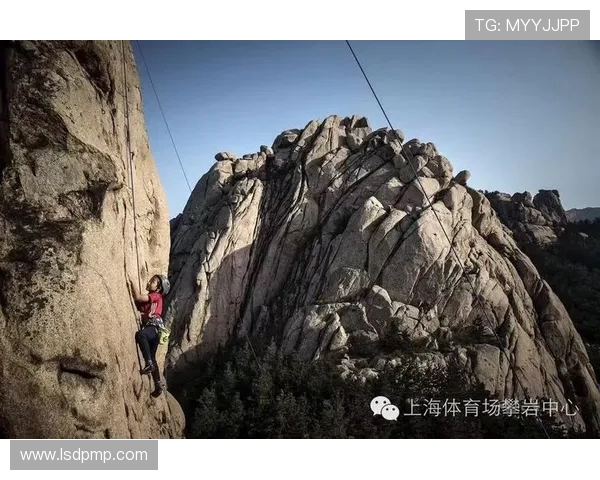 上海攀岩队协作新模式探讨与热议攀岩运动发展趋势