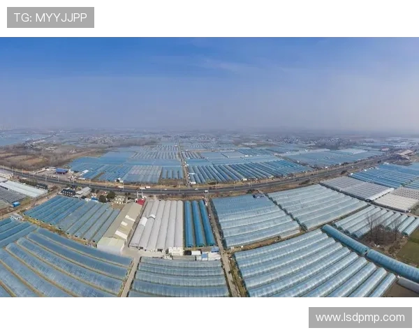 长三角城市巅峰对决南京迎战无锡争夺区域高质量发展新高地